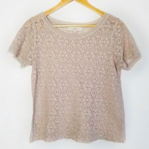 Loft cream floral lace short sleeve top